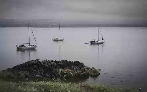 Sailboats in Quiet Waters from Chrome web store to be run with OffiDocs Chromium online Sailboats in Quiet Waters from Chrome web store to be run with OffiDocs Chromium online