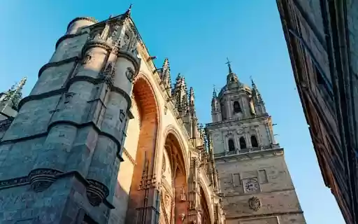 SALAMANCA FOREST Theme  from Chrome web store to be run with OffiDocs Chromium online