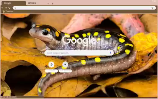 Salamander  from Chrome web store to be run with OffiDocs Chromium online
