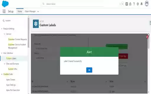 Salesforce Custom Label Manager  from Chrome web store to be run with OffiDocs Chromium online
