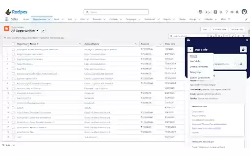 Salesforce Dev Inspector from Chrome web store to be run with OffiDocs Chromium online Salesforce Dev Inspector from Chrome web store to be run with OffiDocs Chromium online