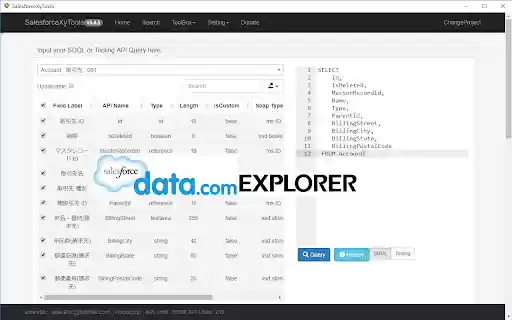 Salesforce XyTools from Chrome web store to be run with OffiDocs Chromium online Salesforce XyTools from Chrome web store to be run with OffiDocs Chromium online