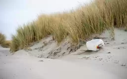 SAND DUNES THEME  from Chrome web store to be run with OffiDocs Chromium online