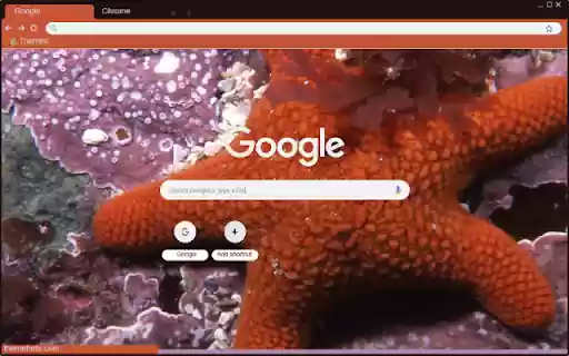 Sao Bien  from Chrome web store to be run with OffiDocs Chromium online