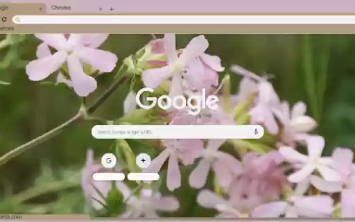 Saponaria  from Chrome web store to be run with OffiDocs Chromium online
