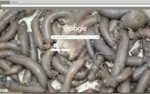 Sau Dat  from Chrome web store to be run with OffiDocs Chromium online