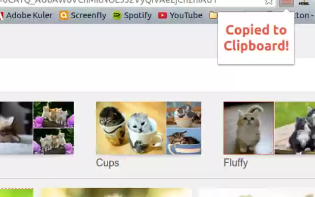 Saupe URL Shrtnr  from Chrome web store to be run with OffiDocs Chromium online