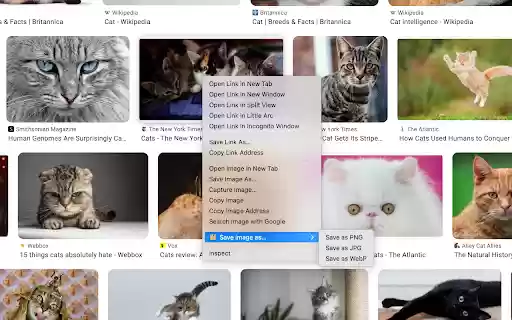 Save Image As  from Chrome web store to be run with OffiDocs Chromium online