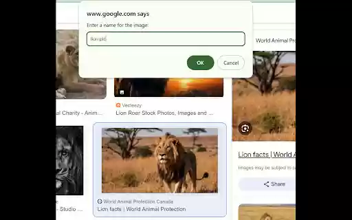 Save Image in Multiple Formats  from Chrome web store to be run with OffiDocs Chromium online