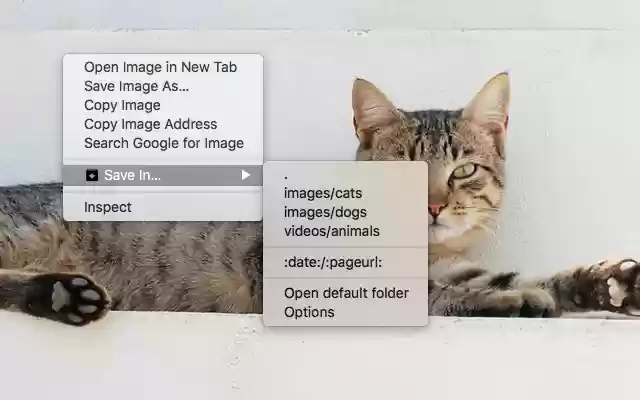 Save In… from Chrome web store to be run with OffiDocs Chromium online Save In… from Chrome web store to be run with OffiDocs Chromium online
