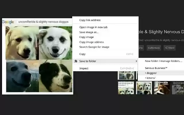 Save to folder from context menu from Chrome web store to be run with OffiDocs Chromium online Save to folder from context menu from Chrome web store to be run with OffiDocs Chromium online