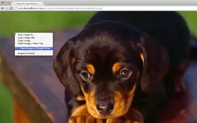 Save to Google Drive from Chrome web store to be run with OffiDocs Chromium online Save to Google Drive from Chrome web store to be run with OffiDocs Chromium online