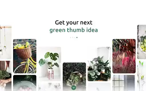 Save to Pinterest  from Chrome web store to be run with OffiDocs Chromium online