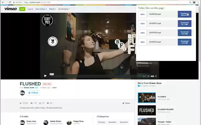Save Video As  from Chrome web store to be run with OffiDocs Chromium online