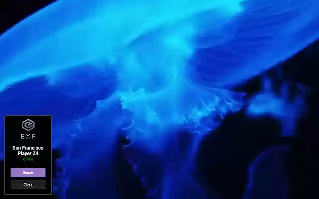 Scala EXP Player from Chrome web store to be run with OffiDocs Chromium online Scala EXP Player from Chrome web store to be run with OffiDocs Chromium online