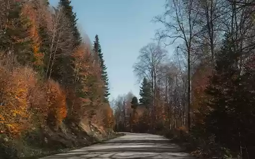 Scenic Autumn Road in Bolu, Turkey  from Chrome web store to be run with OffiDocs Chromium online