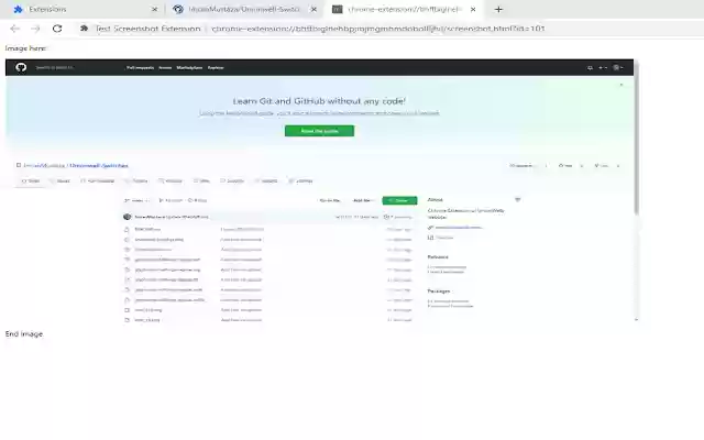 Screenshot Page by IWEBS  from Chrome web store to be run with OffiDocs Chromium online