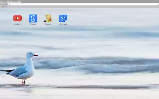 Seagull On Beach from Chrome web store to be run with OffiDocs Chromium online Seagull On Beach from Chrome web store to be run with OffiDocs Chromium online