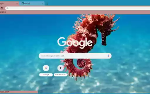 Seahorse from Chrome web store to be run with OffiDocs Chromium online Seahorse from Chrome web store to be run with OffiDocs Chromium online