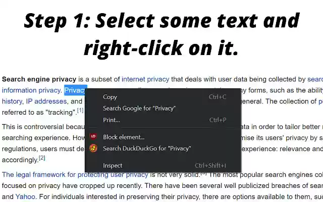 Search With DuckDuckGo  from Chrome web store to be run with OffiDocs Chromium online
