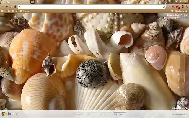 sea ​​shells  from Chrome web store to be run with OffiDocs Chromium online