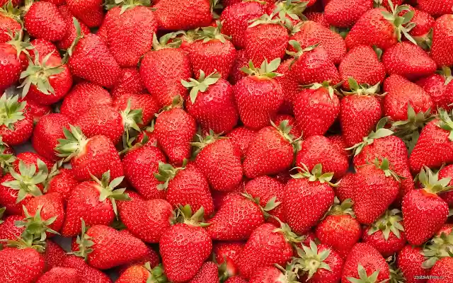 Sea Strawberries  from Chrome web store to be run with OffiDocs Chromium online