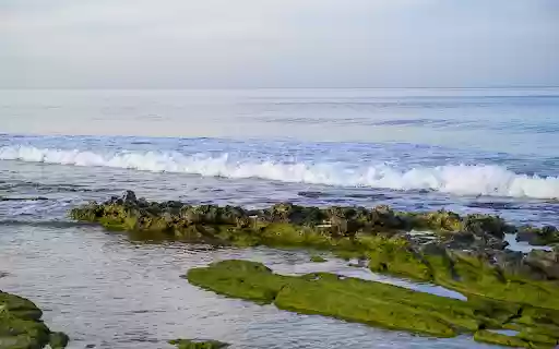 Sea waves and moss  from Chrome web store to be run with OffiDocs Chromium online