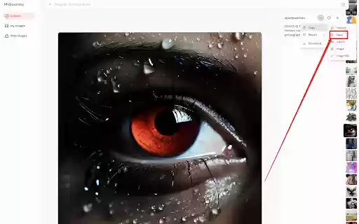 SeedMidjourney  from Chrome web store to be run with OffiDocs Chromium online