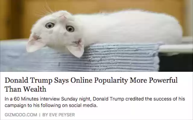 See No Donald from Chrome web store to be run with OffiDocs Chromium online See No Donald from Chrome web store to be run with OffiDocs Chromium online