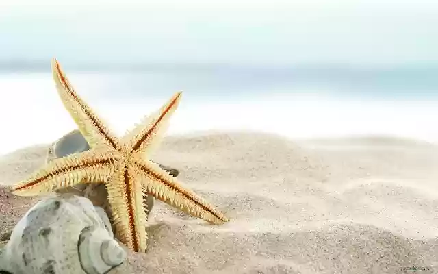 Siehe Star aus dem Chrome Web Store, der mit OffiDocs Chromium online ausgeführt werden kann Siehe Star aus dem Chrome Web Store, der mit OffiDocs Chromium online ausgeführt werden kann