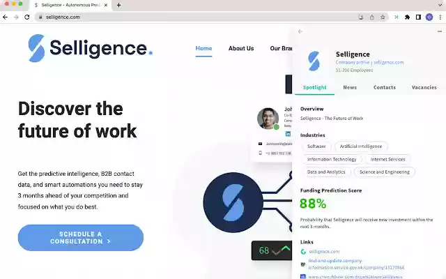 Selligence  from Chrome web store to be run with OffiDocs Chromium online