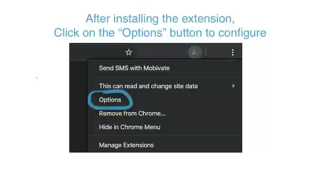Send SMS with Mobivate  from Chrome web store to be run with OffiDocs Chromium online