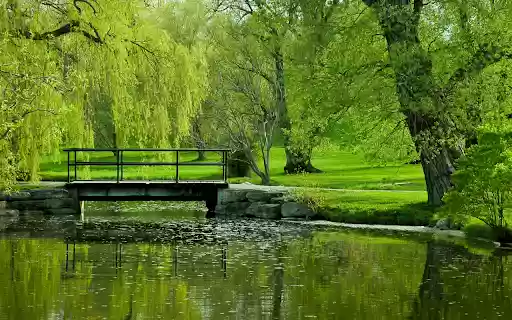 Serene Park Bridge  from Chrome web store to be run with OffiDocs Chromium online