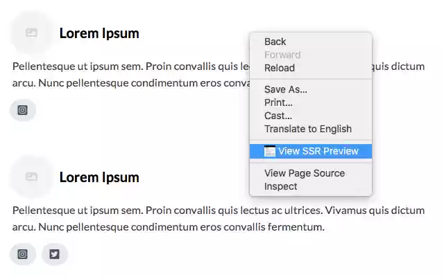 Server Side Render (SSR) Viewer  from Chrome web store to be run with OffiDocs Chromium online