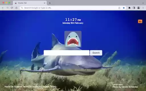 Sharks Tab  from Chrome web store to be run with OffiDocs Chromium online