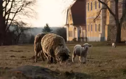Sheep mother  from Chrome web store to be run with OffiDocs Chromium online