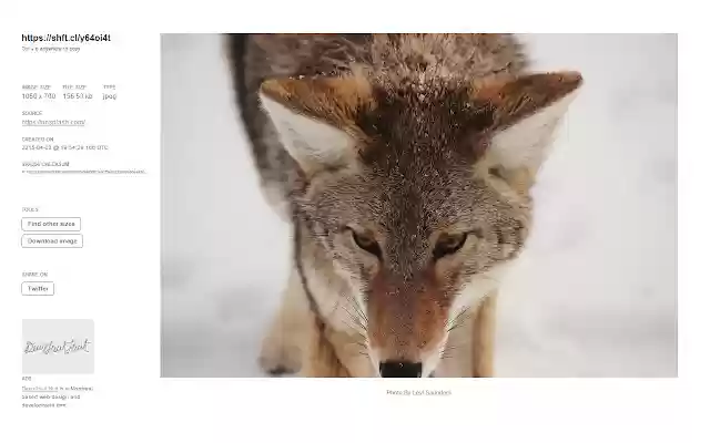 Shift Click Image Extractor  from Chrome web store to be run with OffiDocs Chromium online