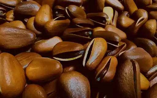 Shiny brown pine nuts  from Chrome web store to be run with OffiDocs Chromium online