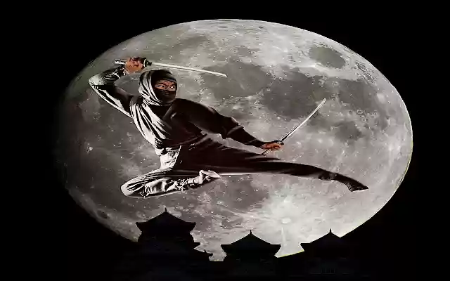 Sho Kosugi Moonkick from Chrome web store to be run with OffiDocs Chromium online Sho Kosugi Moonkick from Chrome web store to be run with OffiDocs Chromium online