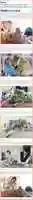 Free download screenshot-gujaratilekh.com-2020.01 free photo or picture to be edited with GIMP online image editor