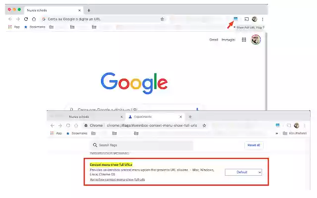 Show Full URL Flag  from Chrome web store to be run with OffiDocs Chromium online