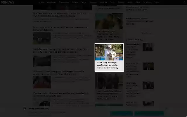 Show Pony  from Chrome web store to be run with OffiDocs Chromium online