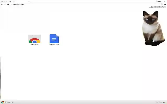 Siamese Cat Theme  from Chrome web store to be run with OffiDocs Chromium online