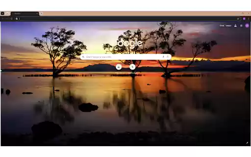 Silhouette of Trees Near Body of Water  from Chrome web store to be run with OffiDocs Chromium online