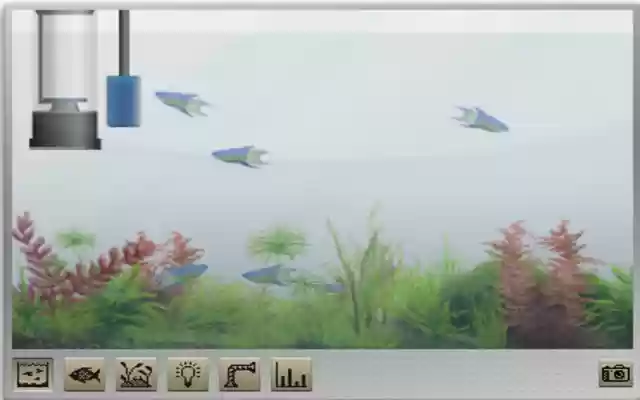 SimAquariumHack from Chrome web store to be run with OffiDocs Chromium online SimAquariumHack from Chrome web store to be run with OffiDocs Chromium online