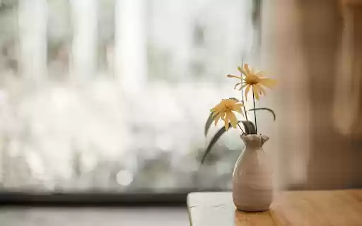 Simple Vase with Yellow Blooms  from Chrome web store to be run with OffiDocs Chromium online