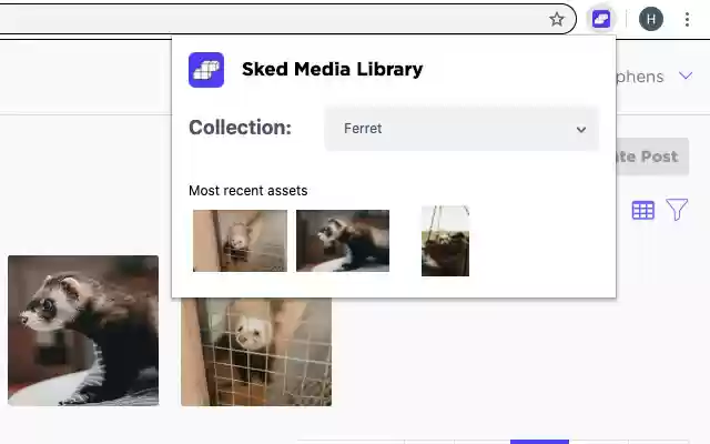 Sked Media Library from Chrome web store to be run with OffiDocs Chromium online Sked Media Library from Chrome web store to be run with OffiDocs Chromium online
