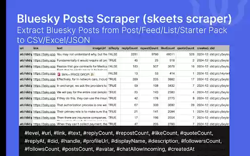 SkyPosts Bluesky Posts Export Tool  from Chrome web store to be run with OffiDocs Chromium online