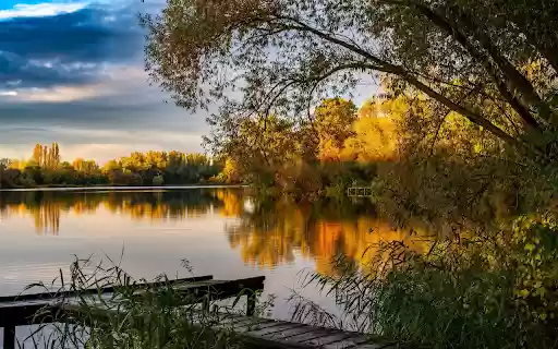 Small wooden bridge by the lake  from Chrome web store to be run with OffiDocs Chromium online