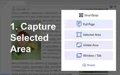 SmartSnap Fast Screenshot Tool (Full Page, Selected, Visible Area)  from Chrome web store to be run with OffiDocs Chromium online